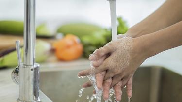 Hands being washed in a sink